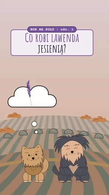 Okładka rolki 6: Co robi lawenda jesienią?