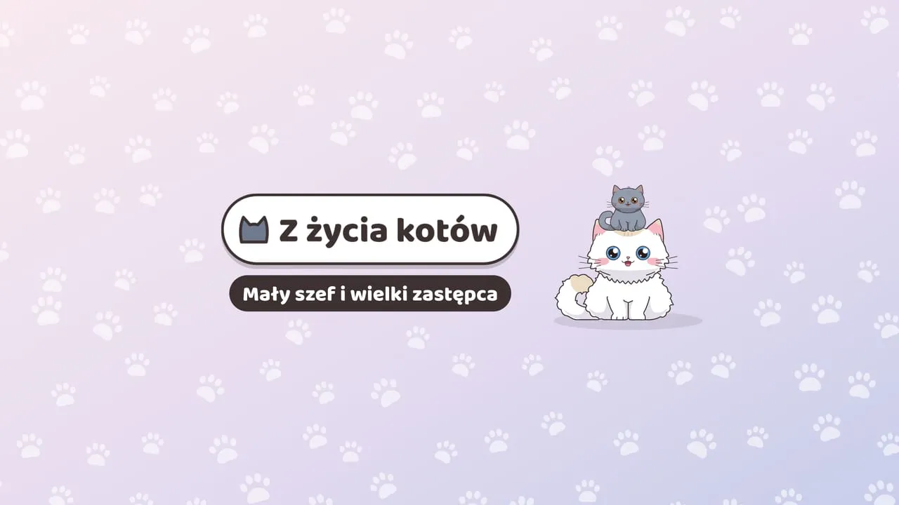 Baner kanału YouTube Mambo i Bambus